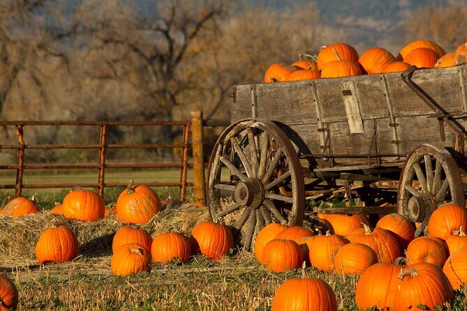 Autumn Romance Escape: A Nashville Couples' Getaway - What’s Included and What to Consider