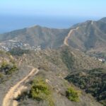 Avalon, Catalina Island: 2-Hour Inside Adventure Tour - Final Thoughts: Who Will Love This Tour?