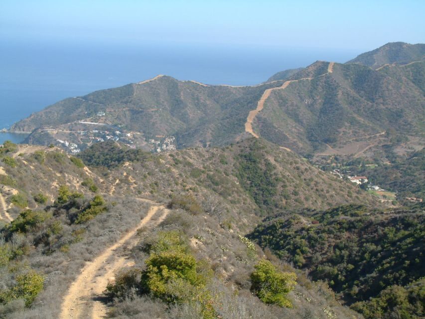 Avalon, Catalina Island: 2-Hour Inside Adventure Tour - Final Thoughts: Who Will Love This Tour?