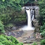 Ayung River Rafting and Ubud Waterfall Tour - A Deep Dive Into the Experience