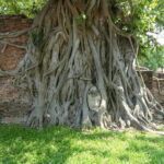 Ayutthaya Elephant Village ATV and Floating Market by Tuk Tuk - Authentic Experiences Based on Reviews