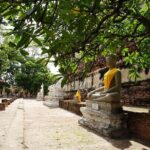 Ayutthaya Evening Tour with Dinner - FAQ