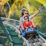 Ba Na Hills & Golden Bridge Tour from Da Nang - Insights from Reviewers