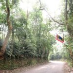 Ba Vi National Park Private Tour: Sightseeings & Jungle Hikking - A Deep Dive into the Ba Vi National Park Private Tour