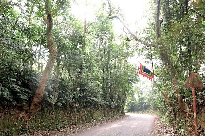 Ba Vi National Park Private Tour: Sightseeings & Jungle Hikking - A Deep Dive into the Ba Vi National Park Private Tour