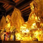 Bai Dinh, Trang An and Mua Cave Day Trip from Hanoi - What the Reviews Reveal