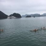 Bai Tu Long Bay Cruises Peaceful and Cozy Group Boat 2D1N - Who Is This Tour Best For?