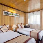 Bai Tu Long boutique & budget cruise 2D: Kayaking, swimming at pristine palaces - What Makes This Tour Stand Out?