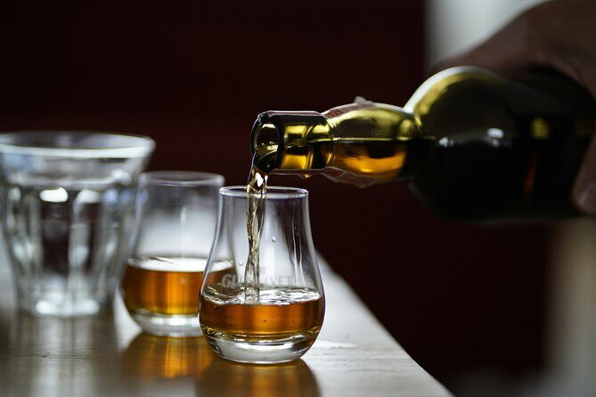 Bainbridge Island Discovery and Whiskey tasting Tour - Who Will Love This Tour?