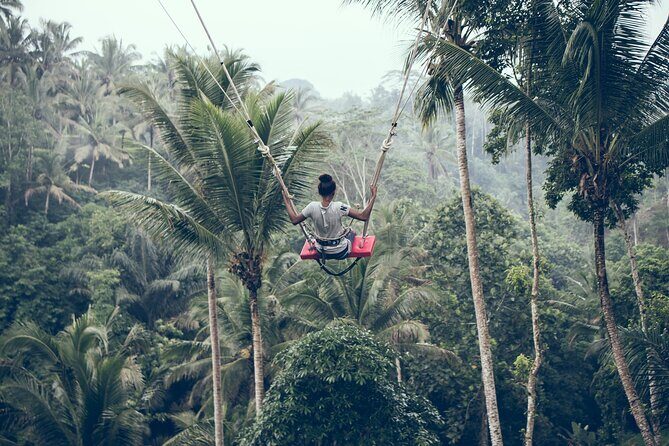 Bali ATV Quad Ride and Giant Swing Experiences - Who Will Enjoy This Tour?
