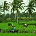 Bali ATV Ride Ubud Jungle Track - Who Should Consider This Tour?
