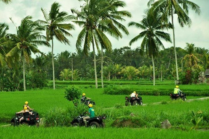 Bali ATV Ride Ubud Jungle Track - Who Should Consider This Tour?