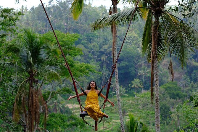 Bali Best Of Ubud Tour Private and All Inclusive - The Practicalities: What You Need to Know