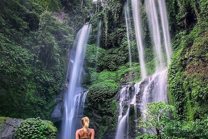 Bali Best Waterfalls Tour : Sekumpul and Banyumala - Why This Tour Delivers Value