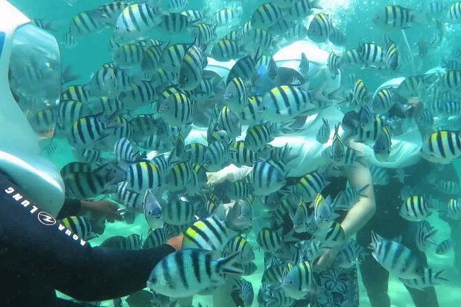 Bali Best Watersport Sea walker,Parasailing adventure,Jet sky - The Practical Side: Value, Transportation & Booking