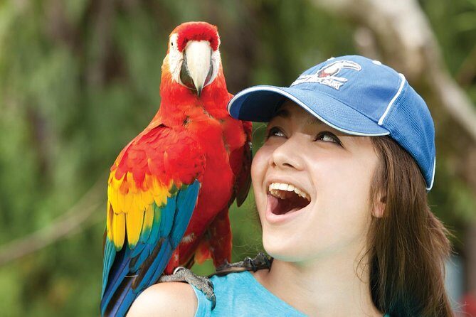 Bali Bird Park Admission Ticket - Who Will Love This Experience?