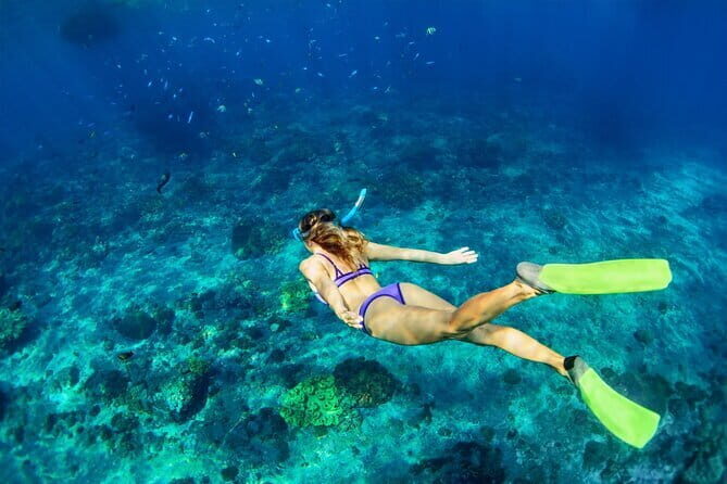 Bali Blue Lagoon Snorkeling and Waterfall Day Tour with Lunch - Authentic Experiences and Honest Insights