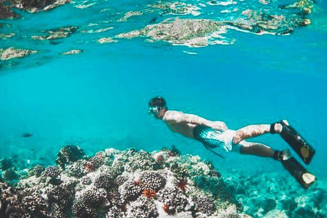 Bali Blue Lagoon Snorkeling - Lunch and Transport All Inclusive - Authentic Guides Making a Difference