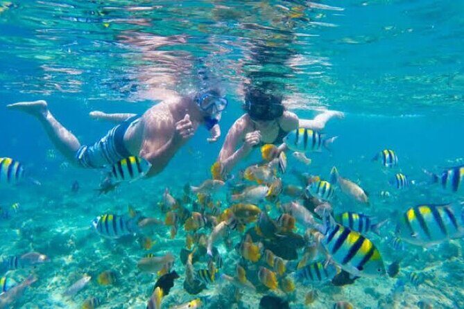 Bali Blue Lagoon Snorkeling with Private Transfer & Lunch - The Sum Up