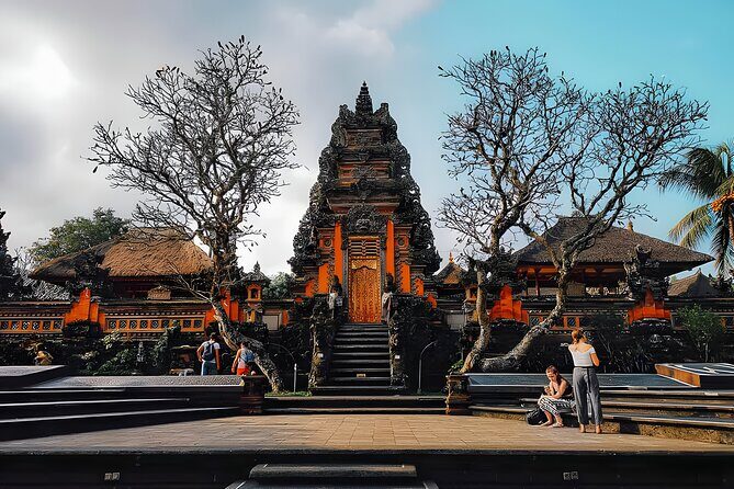 Bali Car-Charter: Half Day Ubud Village Tour - Who Is This Tour Best For?
