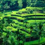 Bali Car-Charter: Half Day Ubud Waterfall Tour - Additional Stops and Passages