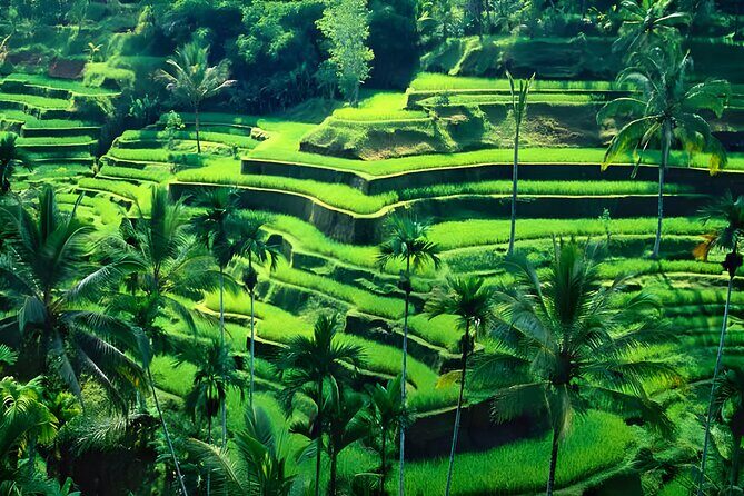 Bali Car-Charter: Half Day Ubud Waterfall Tour - Additional Stops and Passages