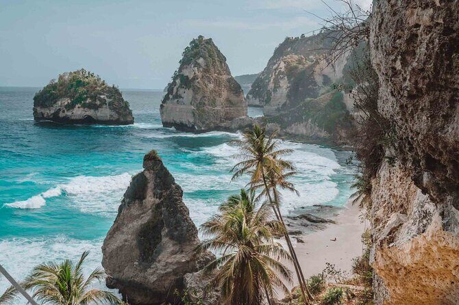 Bali Car Charter with English Speaking Driver - The Experience and Service Quality