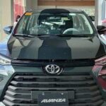 Bali Car Hire with Driver - Who Will Love This Experience?