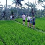 Bali Countryside Cycling Tours - Final Thoughts