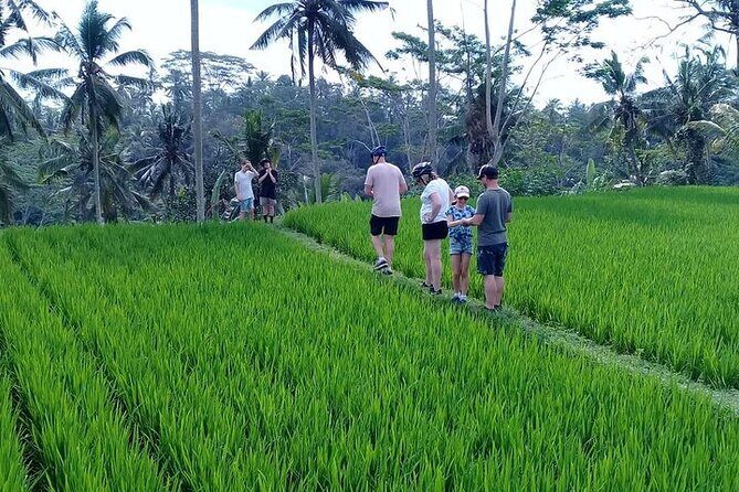 Bali Countryside Cycling Tours - Final Thoughts