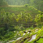 Bali Customized Private Tour - The Sum Up