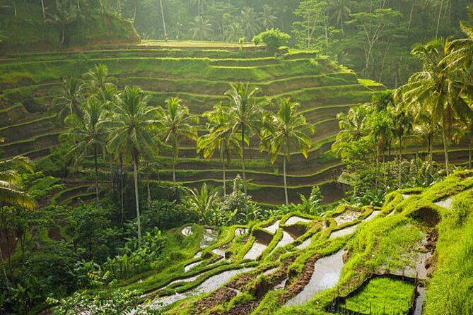 Bali Customized Private Tour - The Sum Up
