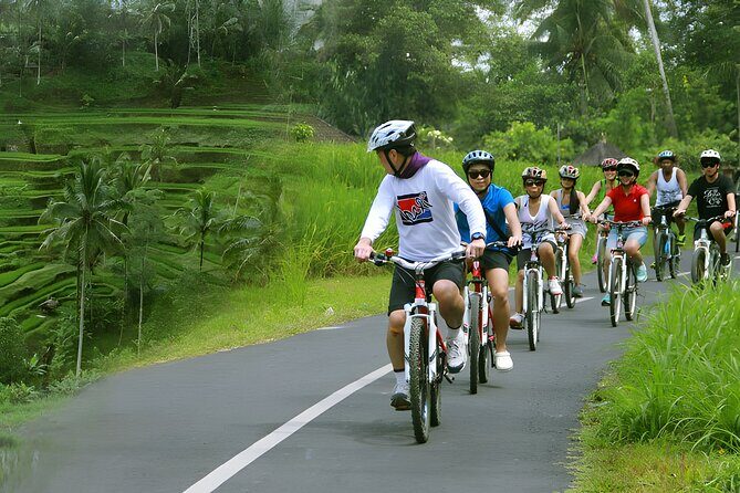 Bali Cycling and Exploring Ubud, Temple, Waterfall Tour - The Value of the Experience