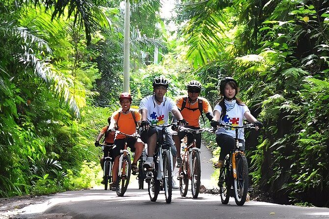 Bali Cycling and Jungle Swing Adventure Experience - What’s Included and What to Keep in Mind