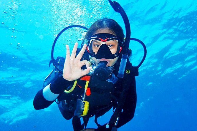 Bali Diving for Beginners: Tulamben Liberty Wreck - What Makes This Tour Stand Out