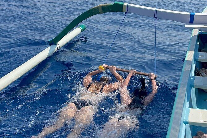 Bali : Dolphin Sunrise Experience Tour Private All Inclusive - Final Thoughts: Who Is This Tour Perfect For?