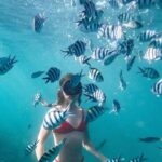 Bali Experience Blue lagoon snorkeling and hidden waterfall - Authentic Insights from Reviews