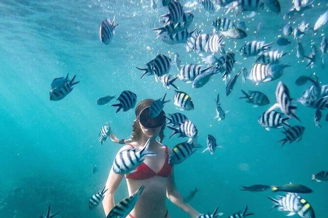 Bali Experience Blue lagoon snorkeling and hidden waterfall - Authentic Insights from Reviews