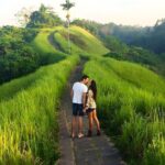 Bali Full-Day Car Charter: All About Ubud Village Trip Experience - Additional Pass-By Attractions and Convenience