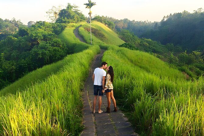 Bali Full-Day Car Charter: All About Ubud Village Trip Experience - Additional Pass-By Attractions and Convenience
