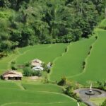 Bali Full-Day Car Charter: Beauty of North Bali Tour - What We Loved