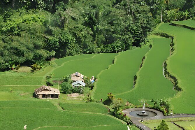 Bali Full-Day Car Charter: Beauty of North Bali Tour - What We Loved