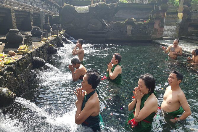 Bali Full Day Holy Water Tour - How the Tour Runs: Logistics & Comfort