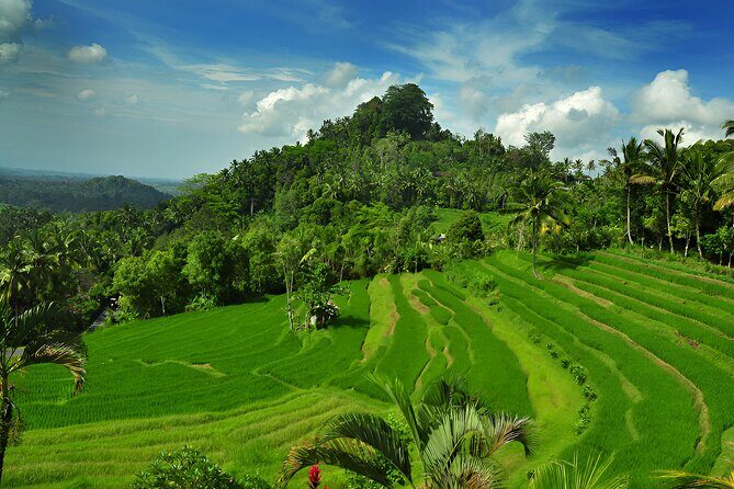 Bali Full Day-Tour: Besakih Temple Tour - FAQ