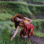 Bali Full Day Tour: Highlights of Ubud and Hidden Waterfall - Who Will Love This Tour?