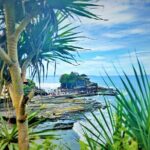 Bali Full Day Tour | Individual Route in Bali | Bali Guide | Free Wi-Fi - The Transportation and Service Experience