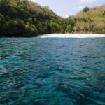 Bali Hai - Aristocat Sailing Cruise - Price and Value: Is It Worth It?