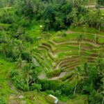 Bali Half-Day Car Charter: Ubud Waterfall Trip for 7 Hours - Who Should Consider This Tour?
