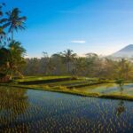 Bali Half Day Photography Tour - Why This Tour Offers Excellent Value