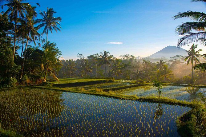 Bali Half Day Photography Tour - Why This Tour Offers Excellent Value